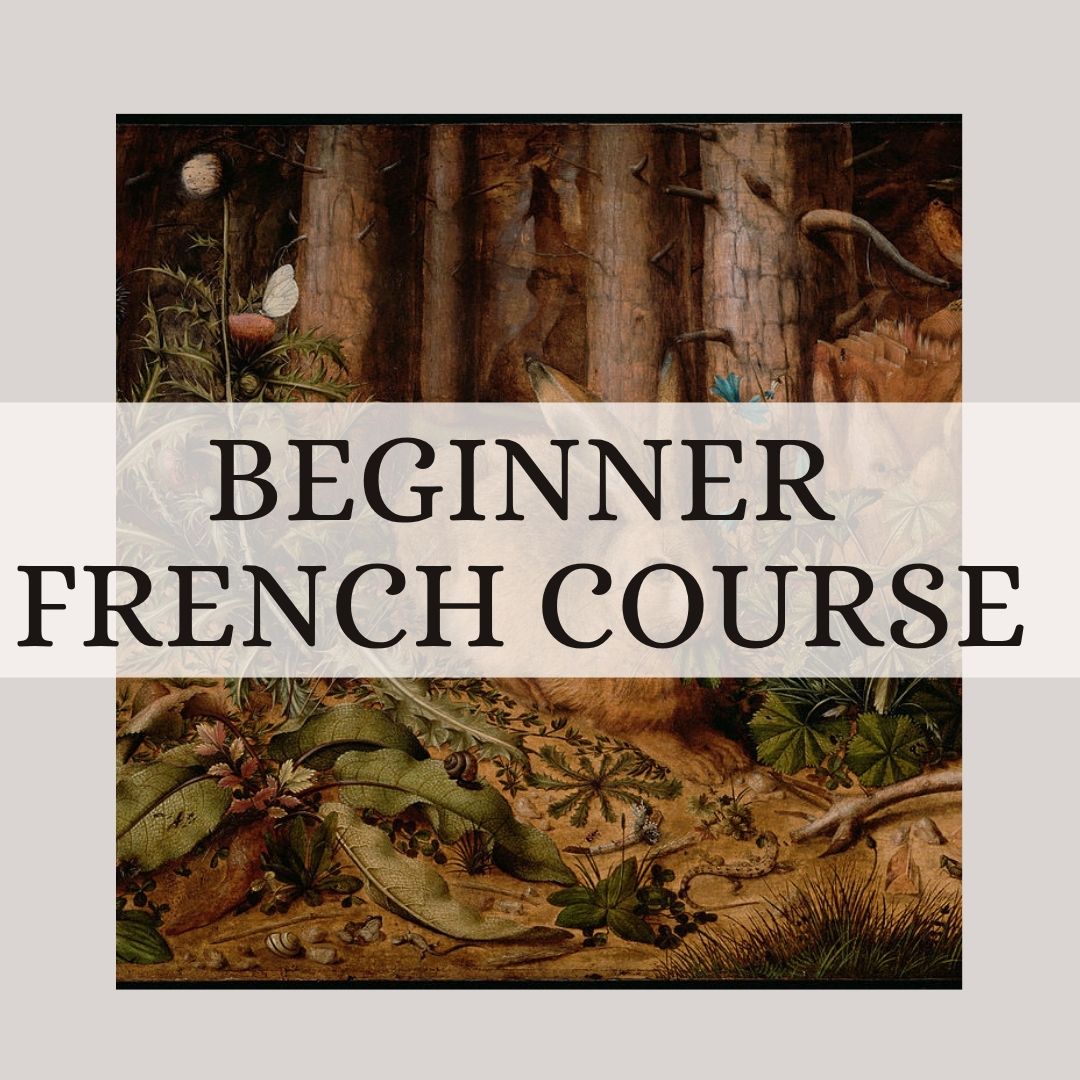 Beginner French self-paced course